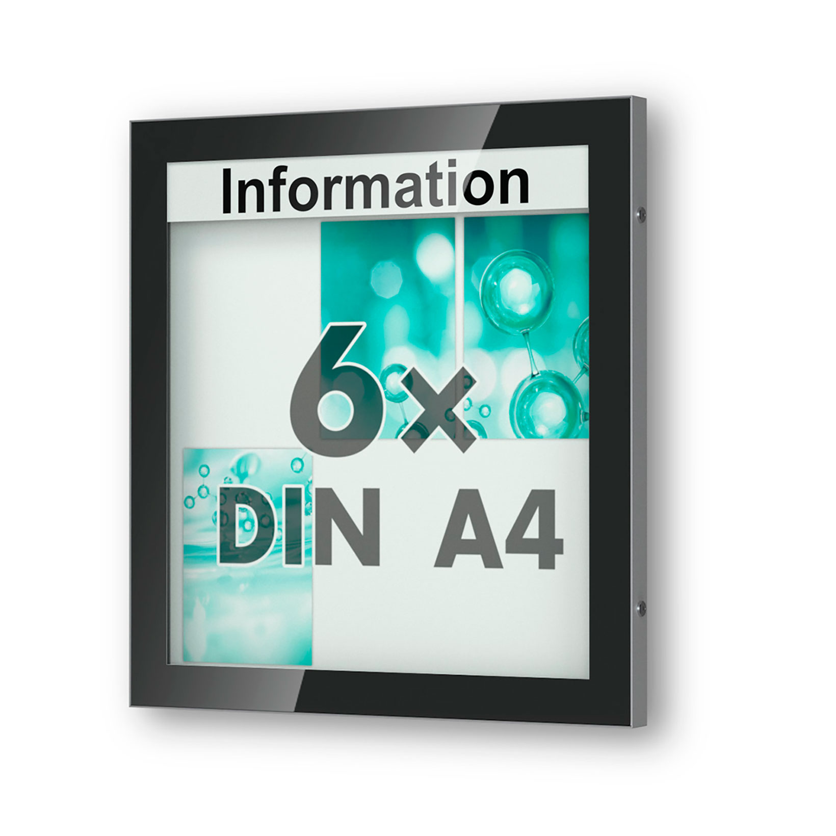6 x DIN A4 Schaukasten Visus - Wandmontage